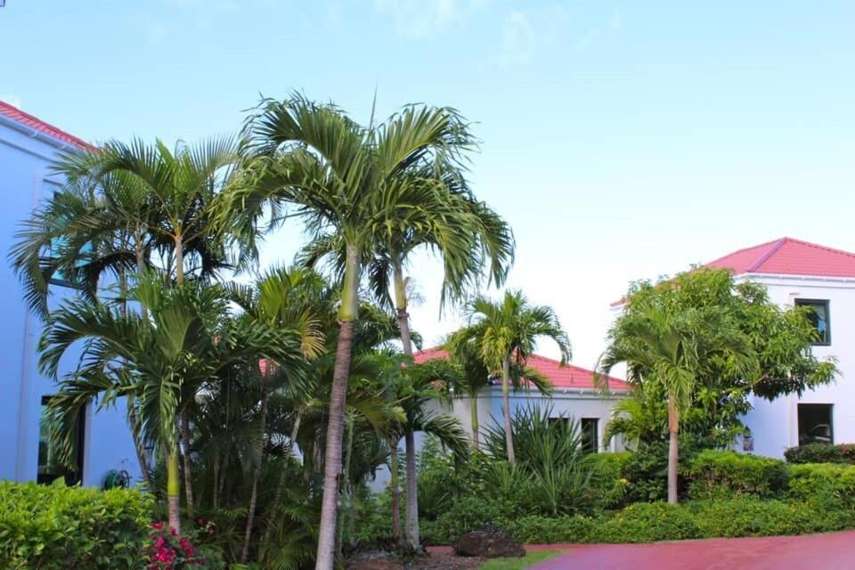 Sunset Ridge Villa D Cruz Bay Eksteriør billede